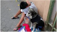 Seekor anjing tengah membantu pemiliknya mengemis