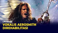 vertical aerosmith