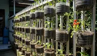 7 Cara Mengubah Area Pagar Menjadi Taman Sayur Mini yang Cantik dan Menguntungkan