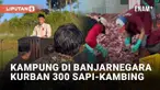 Desa di Pegunungan Dieng jadi sorotan di media sosial pada Idul Adha 1444 H/2023 M ini. Ratusan warganya berkurban hingga menyentuh angka fantastis. Setidaknya 72 sapi dan 248 kambing dikurbankan.