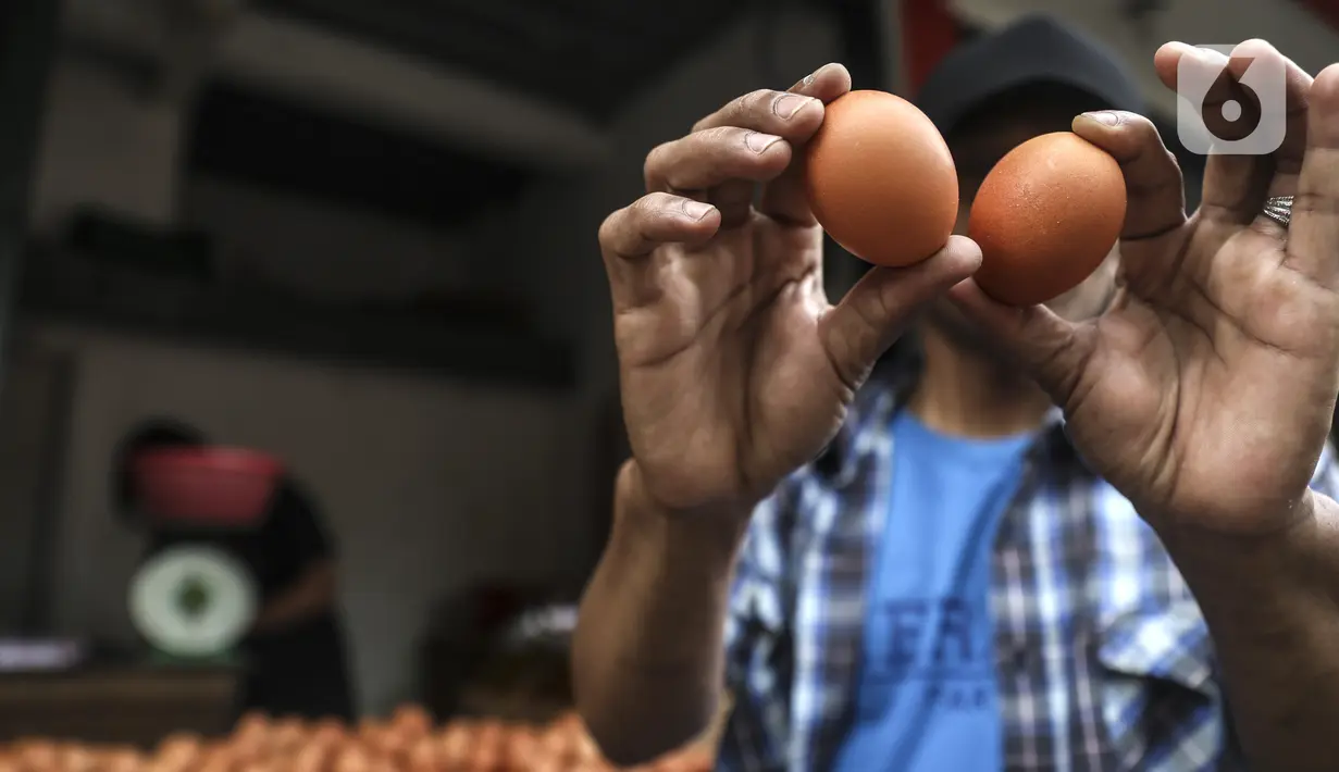 Penjual menunjukkan telur ayam yang dijual di toko kawasan Cirendeu, Jakarta Selatan, Selasa (7/6/2022). Harga telur ayam kini masih terbilang tinggi bahkan hampir mencapai Rp 30 ribu per kg. (Liputan6.com/Johan Tallo)