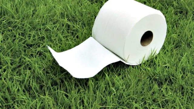 Orang Iseng BAB di Lapangan Golf