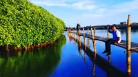 Hutan mangrove Kulon Progo sudah menjadi daya tarik sendiri khususnya bagi warga sekitar. 