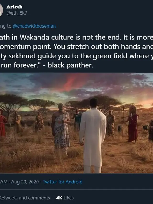 Adegan Black Panther yang kembali viral (Twitter/ eth_8k7)