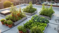 7 Ide Kebun Sayur di Dak Beton Rumah Tingkat, Panen Tanpa Halaman
