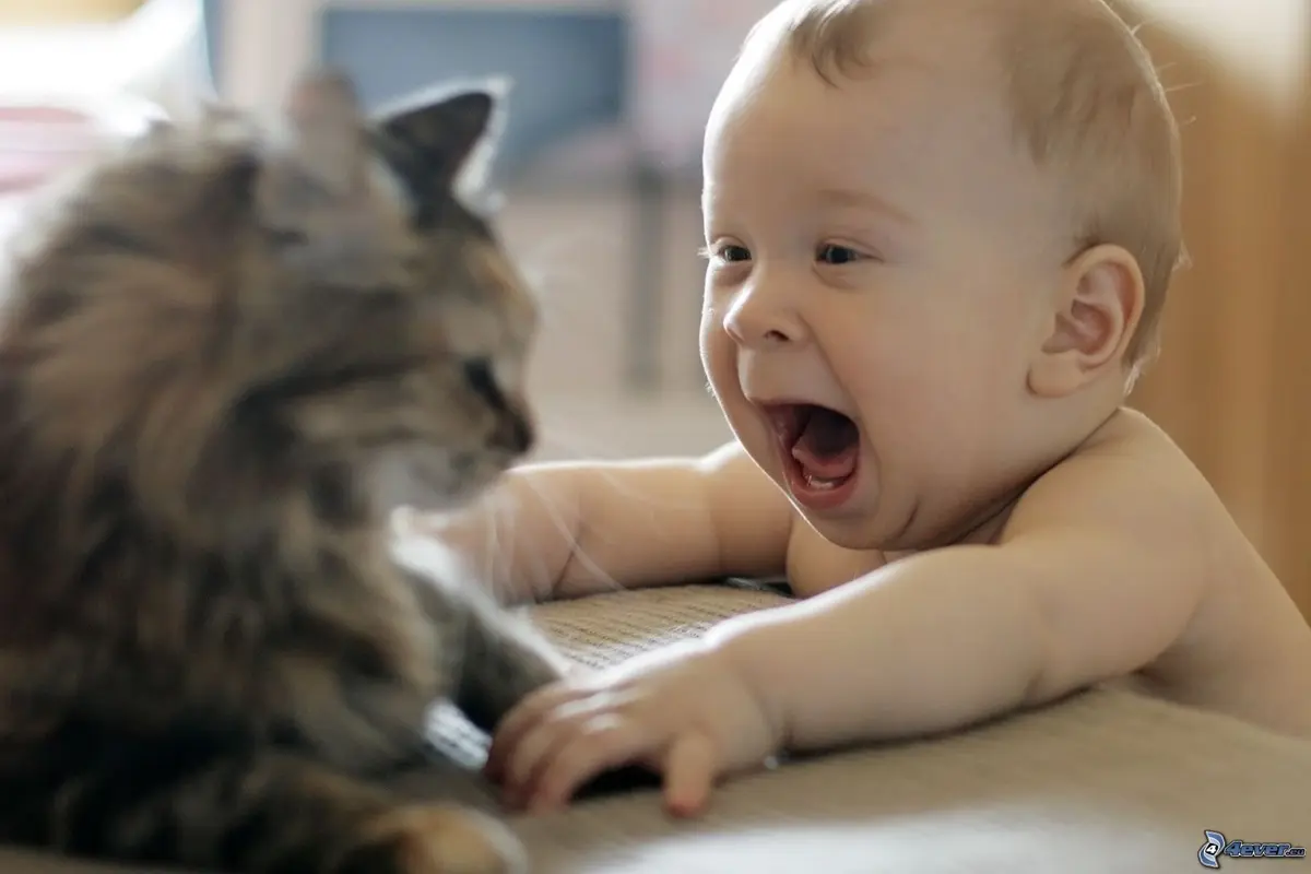 Wow, Ternyata Kucing Juga Bisa Jadi Perawat Bayi Lho!  