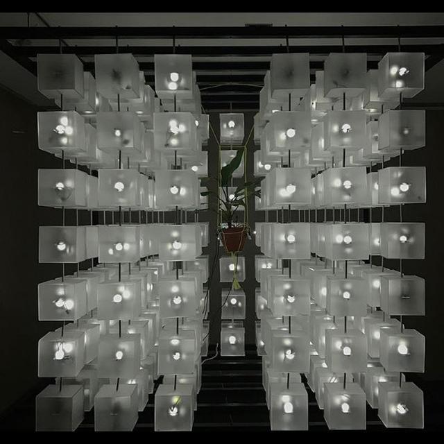 Kreasi Ricky Janitra "Bio Acoustic"