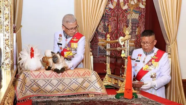 Kucing lokal dan ayam berbulu putih dalam upacara penobatan Raja Thailand Maha Vajiralongkorn (AFP Photo)