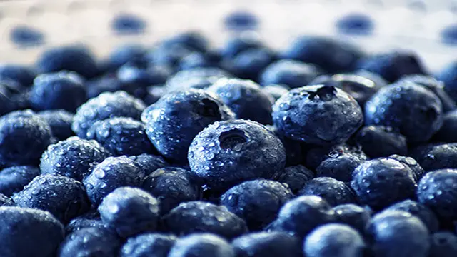 BLUEBERRY