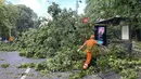 Dua orang perempuan tewas pada hari Senin dan Selasa di provinsi Monza dan Brescia di bagian utara setelah tertimpa pohon yang tumbang. (AP Photo Luca Bruno)