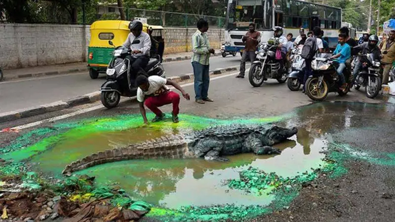 Protes Jalan Rusak, Pria Ini Taruh Buaya di Kubangan Air