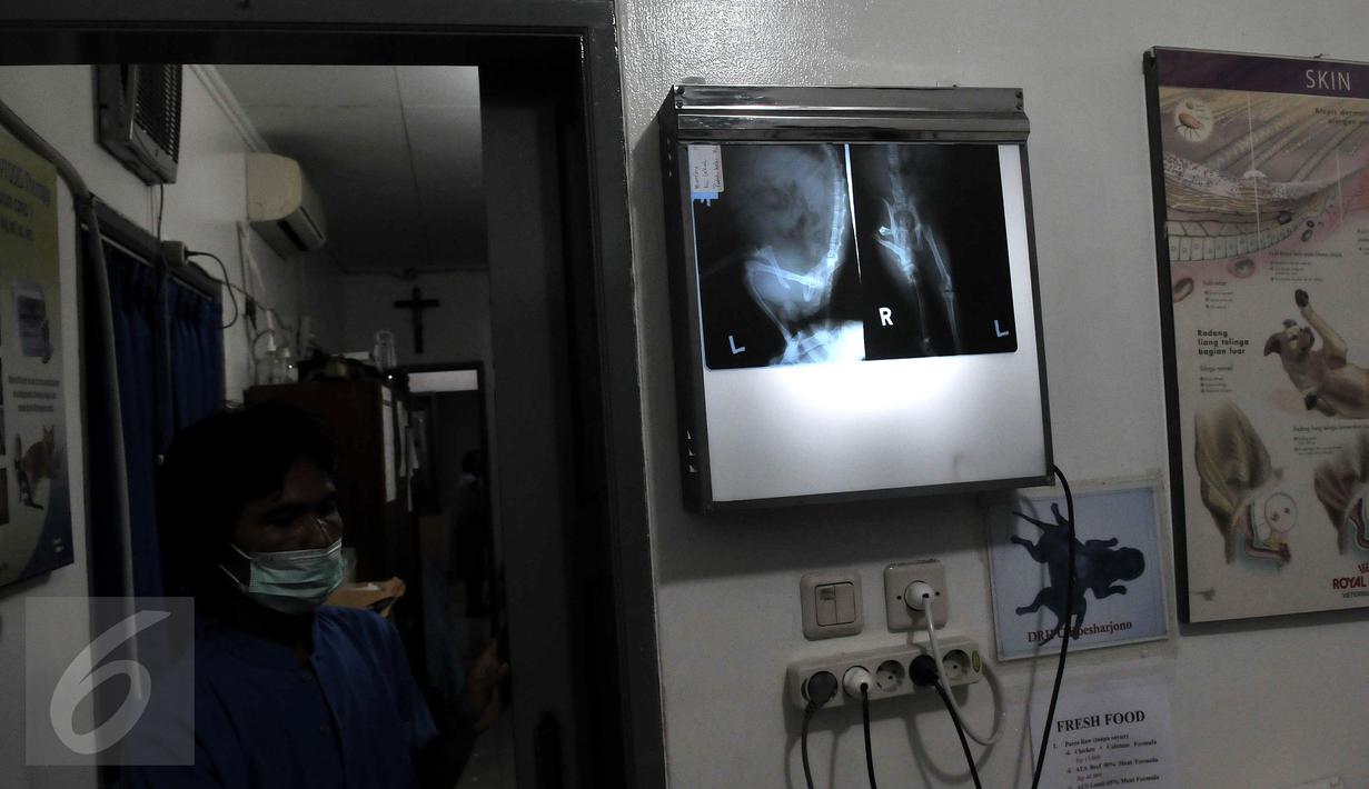 Tujuan utama berdirinya Animal Defender adalah untuk memperjuangkan hak-hak hidup hewan sebagai makhluk hidup ciptaan Tuhan, melalui kegiatan penyelamatan anjing dan kucing yang ditelantarkan dan mengalami kekerasan. (Liputan6.com/Johan Tallo)