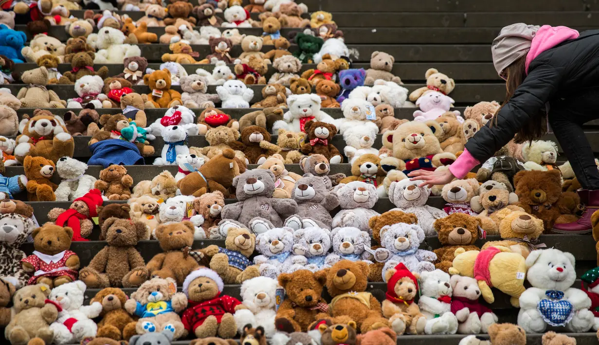 Seorang siswa meletakkan satu dari 740 boneka beruang atau Teddy Bears di tangga Concert Hall, Berlin, Kamis (15/3). Boneka beruang ini melambangkan 740 ribu anak pengungsi Suriah yang tidak dapat bersekolah. (AFP PHOTO/Odd ANDERSEN)
