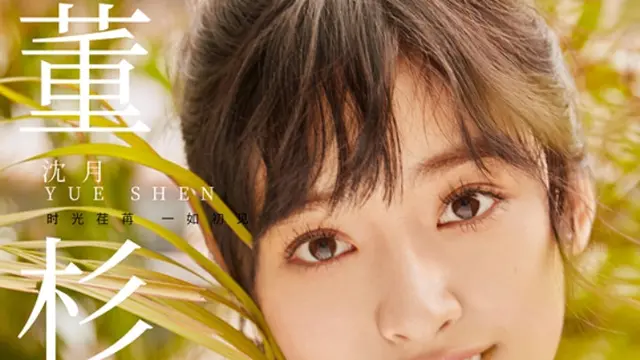 Meteor Garden