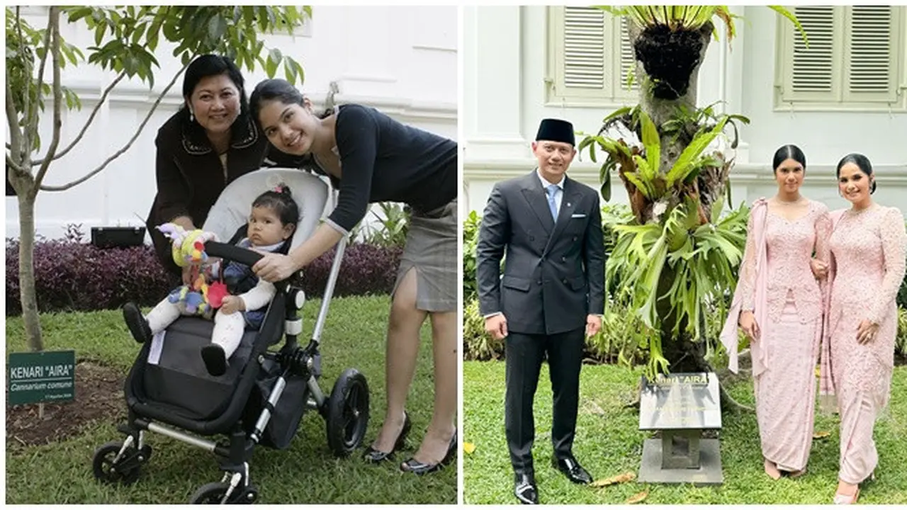 6 Potret Almira Yudhoyono Tengok Pohon 'Kenari Aira' di Istana Negara, Ditanam Ani Yudhoyono