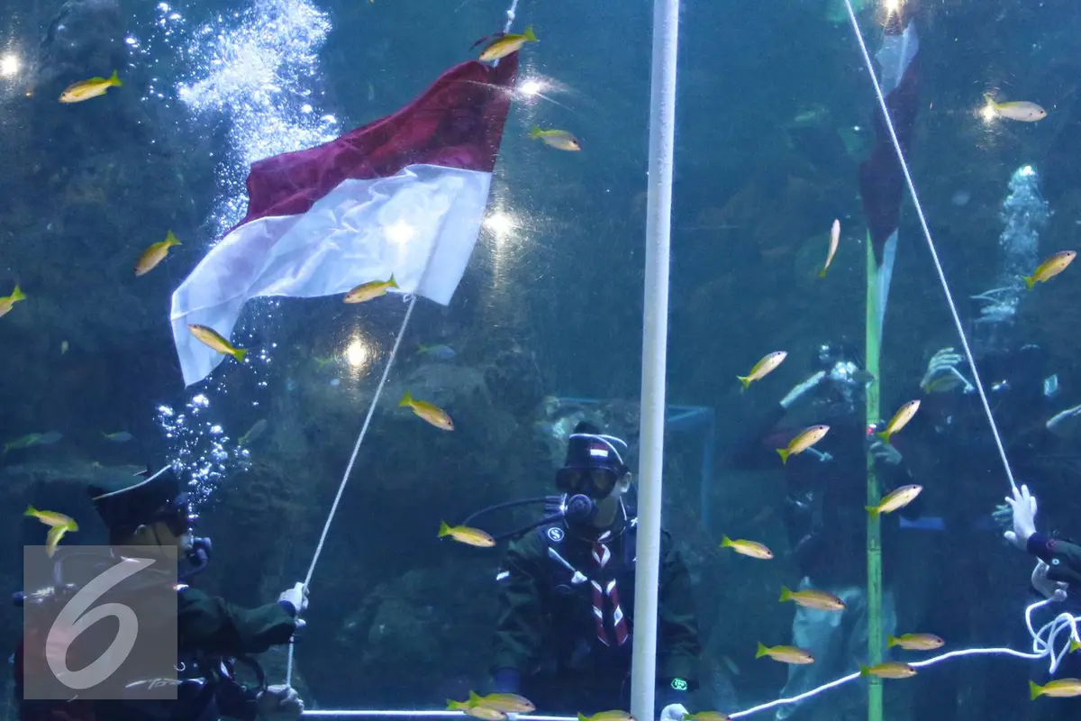 20160817- Aksi Penyelam Kibarkan Merah Putih di Sea World-Jakarta- Immanuel Antonius
