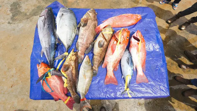 Obi Fishing Tournament 2025