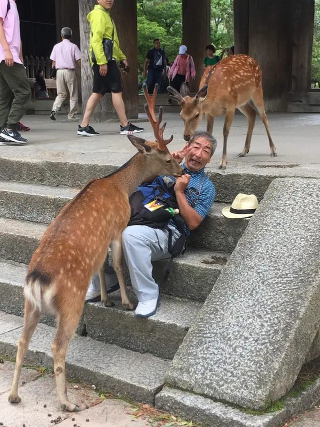 7 Foto Ini Jadi Bukti Uniknya Kehidupan di Jepang