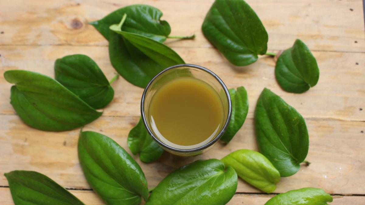 4 Manfaat Mengunyah Daun Sirih Untuk Kesehatan Tubuh - Health Fimela.com