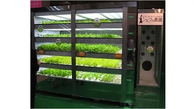 6 Potret Vending Machine Ini Jual Tanaman dan Hewan Hidup, Tak Habis Pikir