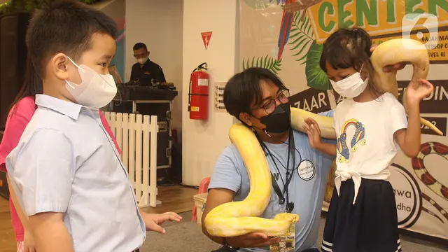 Taman Bermain untuk Hewan Peliharaan di Mal