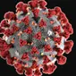 Ilustrasi Virus Corona 2019-nCoV (Public Domain/Centers for Disease Control and Prevention's Public Health Image)