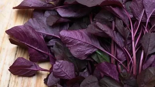 Manfaat Bayam Merah untuk Mencegah Kanker