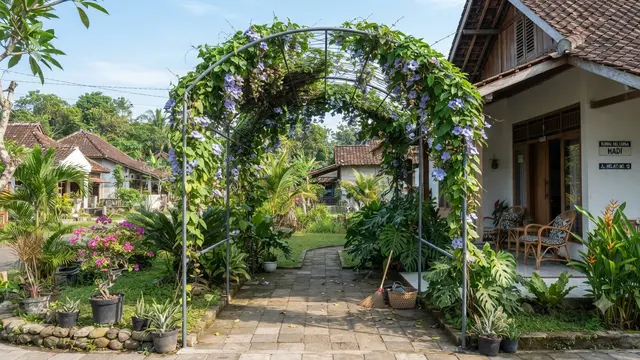 Pergola Baja Tipis yang Sedang Tren Model Tanaman Rambat