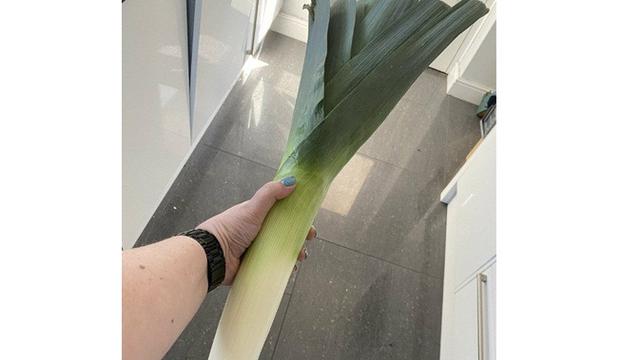 7 Potret Belanja Sayur Online Selama Social Distancing Ini Bikin Geleng Kepala