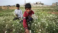 Tanpa Pendidikan, Anak-anak di Gaza Terancam Jadi Generasi yang Hilang
