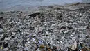 Sampah kiriman tersebut berserakan di pesisir pantai sejak awal Desember 2024. (SONNY TUMBELAKA/AFP)