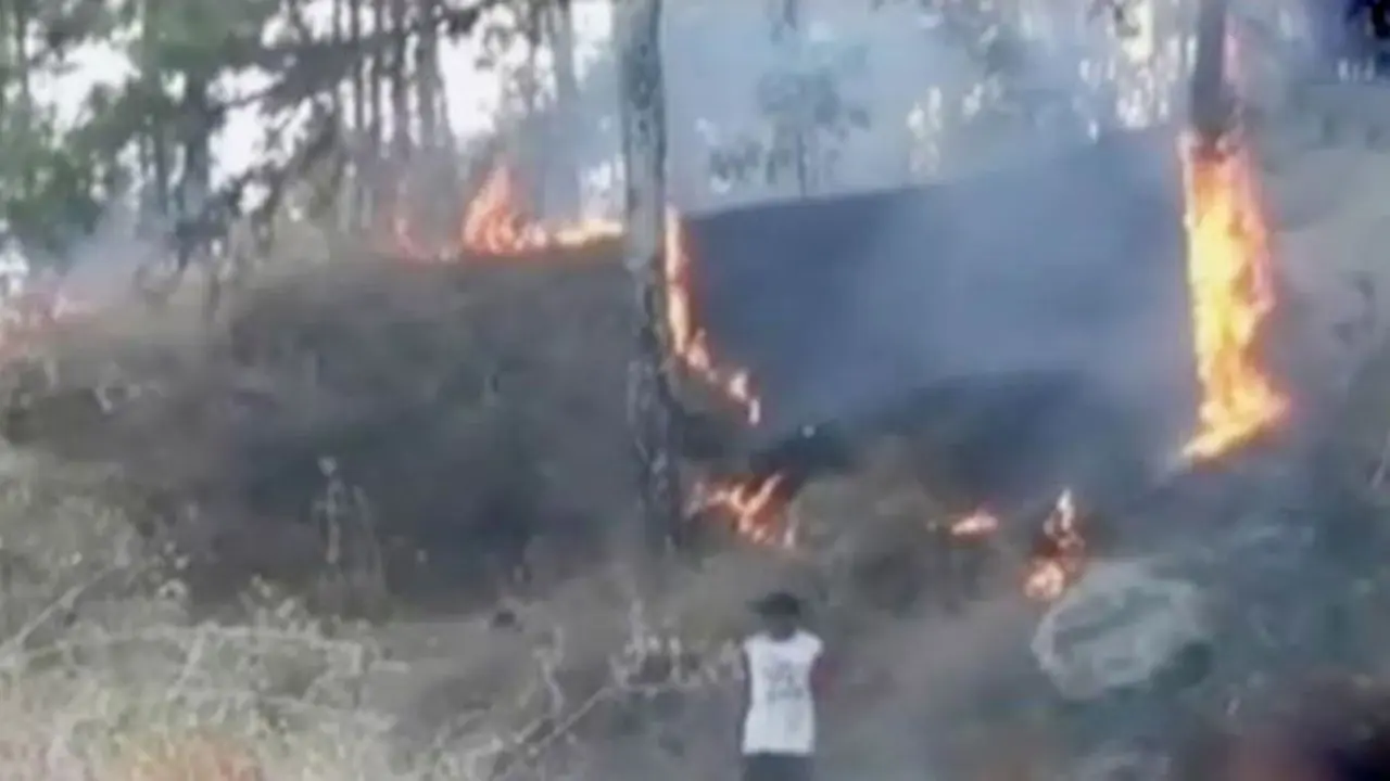 Petugas Terjebak Api Gunung Lawu hingga Acara Peledakan Petasan