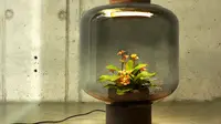 Lampu ini bisa membuat tanaman berfotosintesis sendiri. (Via: boredpanda.com)