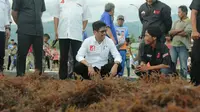 Ichsan Yasin Limpo Sambangi Petani Rumput Laut di Basis Rivalnya (Liputan6.com/ Eka Hakim)