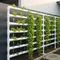 7 Cara Membuat Vertical Garden dari Pipa, Solusi Cantik untuk Lahan Sempit