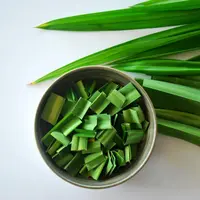 ilustrasi daun pandan/copyright by ladymove_joon Shutterstock