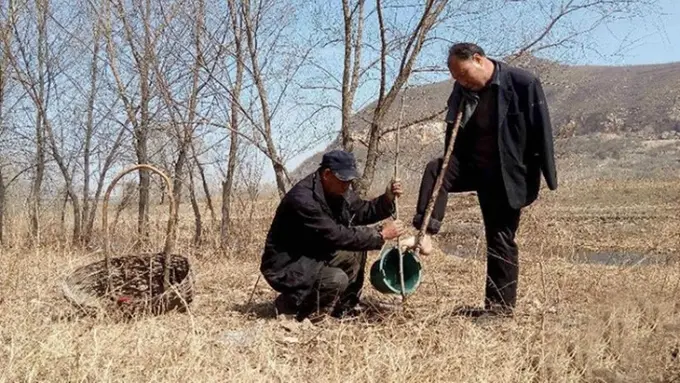 Inspiratif, Meski Difabel, Dua Lelaki Ini Sukses Tanam 1000 Pohon