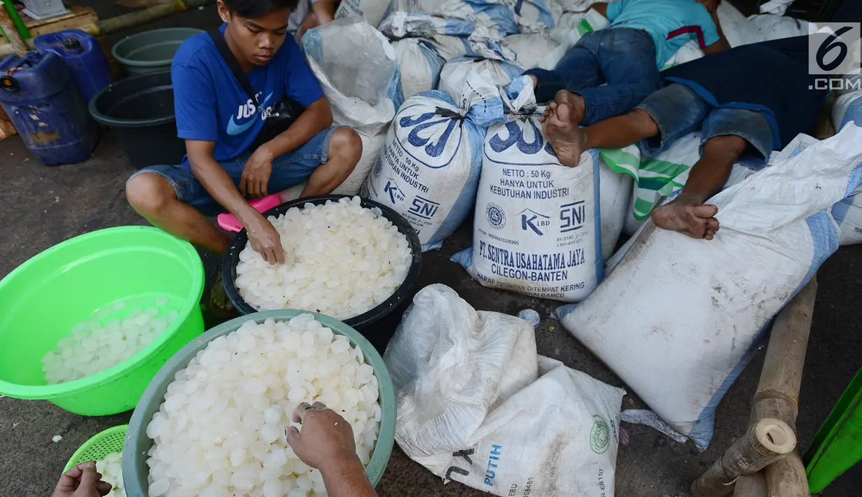 Pedagang memilah kolang-kaling di Pasar Induk Kramat Jati, Jakarta, Jumat (10/5/2019). Para ibu rumah tangga memburu kolang-kaling untuk menu berbuka puasa saat Ramadan. (merdeka.com/Imam Buhori)