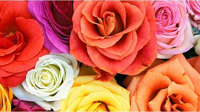 Foto: copyright img.wallpapergang.com