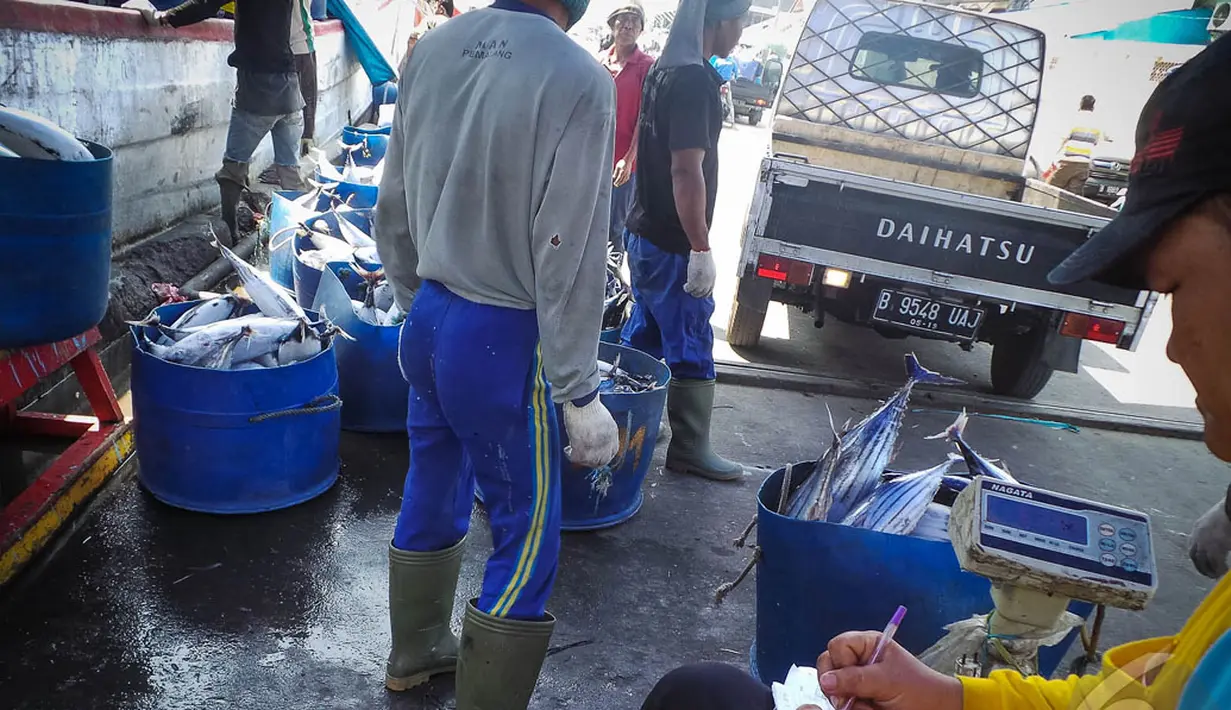 Ikan-ikan hasil tangkapan Nelayan siap untuk ditimbang dan didistribusikan, Jakarta, Kamis (28/8/2014) (Liputan6.com/Faizal Fanani)