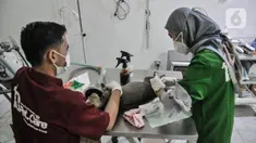 Dokter hewan melakukan sterilisasi kucing peliharaan di Radhiyan Pet and Care, Rawamangun, Jakarta Timur, Senin (20/6/2022). Dinas KPKP DKI Jakarta dan klinik hewan dan komunitas pecinta kucing menggelar pemeriksaan hewan peliharaan seperti vaksin rabies dan sterilisasi secara gratis menyambut HUT ke-495 Jakarta. (merdeka.com/Iqbal S. Nugroho)