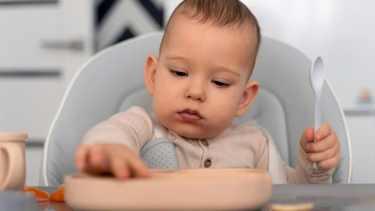 Toddler Makan MPASI