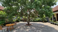 9 Tanaman Buah Peneduh Halaman yang Tidak Membuat Paving Cepat Rusak