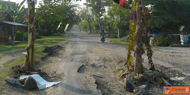 Jalan Raya Jadi Ladang Kebun Pisang