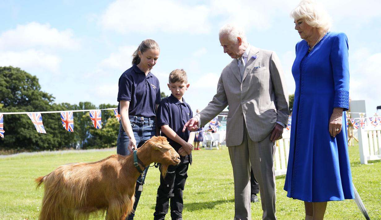Raja Charles III dan Ratu Camilla melihat Kambing Golden Guernsey yang langka saat mengunjungi Les Cotils di L'Hyvreuse, di Saint Peter Port, Guernsey selama kunjungan dua hari mereka ke Kepulauan Channel, Selasa (16/7/2024). (Andrew Matthews/PA via AP)