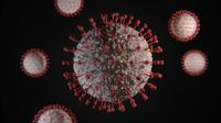 Ilustrasi Penyebab Hepatitis C Credit: pexels.com/Viktor