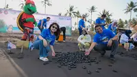 1.300 Tukik Hasil Penukaran Botol Plastik Dilepas ke Laut Banyuwangi