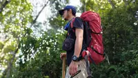 Demam Setelah Pulang dari Hutan, Bisa Jadi Kena Monkey Malaria