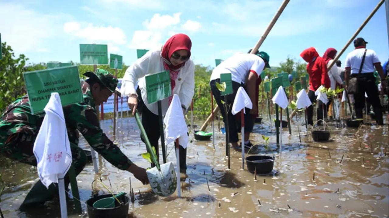Ibu Menpora dan Ibu Menteri Agama Tanam 5000 Mangrove di Pantai Cemara