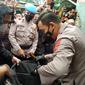 Satreskrim Polresta Bogor Kota, Jawa Barat meringkus pelaku pembunuh gadis yang jasadnya ditemukan dalam kantong plastik di Bogor. (Foto:Liputan6/Achmad Sudarno)